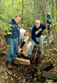 trailwork